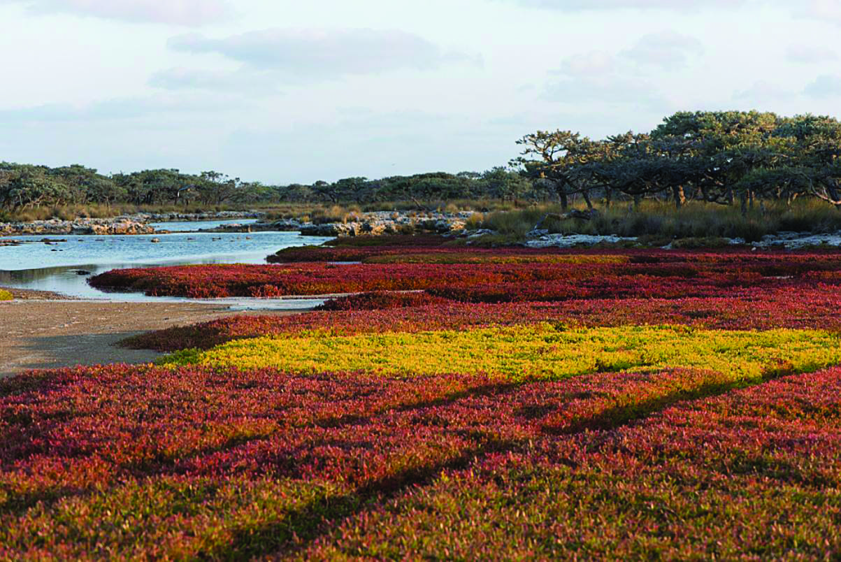 L le  Europa  site class  RAMSAR TAAF