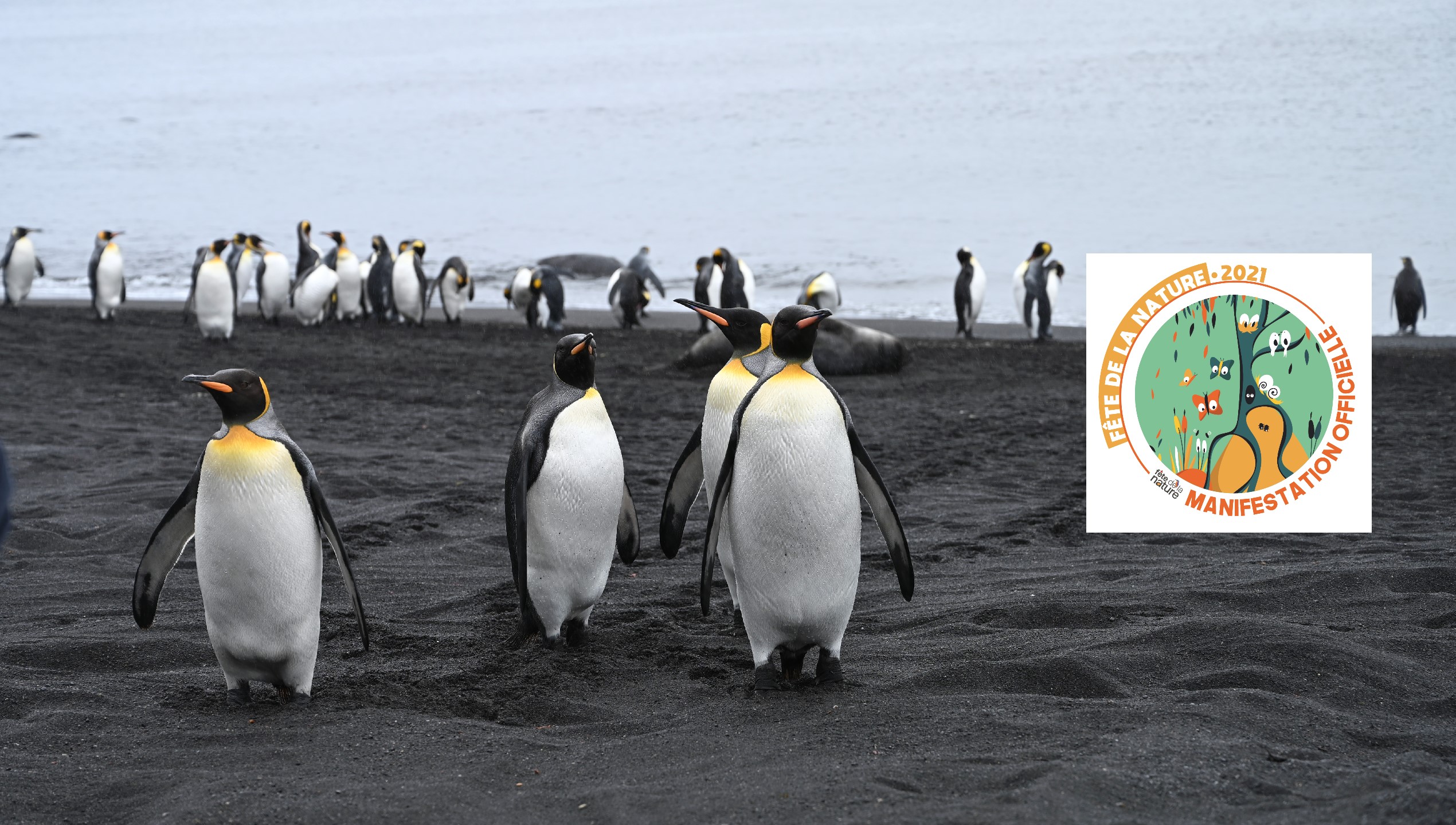 La Fête de la Nature se déroule aussi dans les TAAF Terres australes