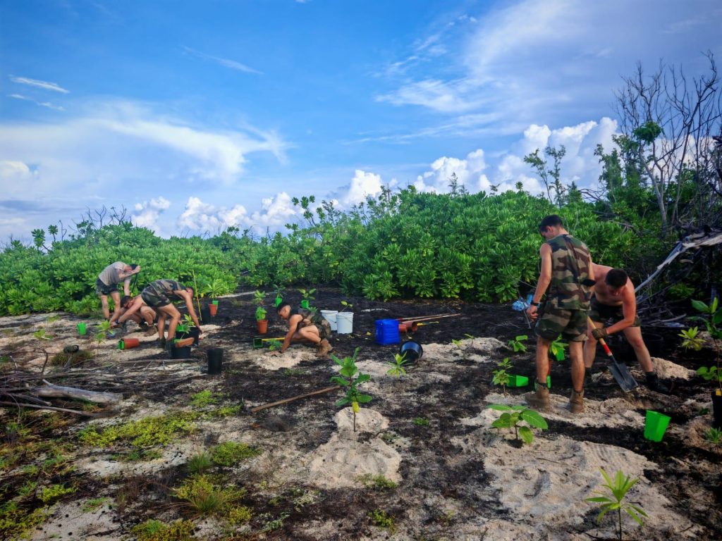 AUX GLORIEUSES, LA PÉPINIÈRE AU CŒUR DES ACTIONS DE RESTAURATION ...